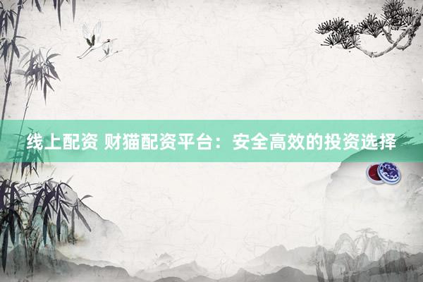 线上配资 财猫配资平台：安全高效的投资选择