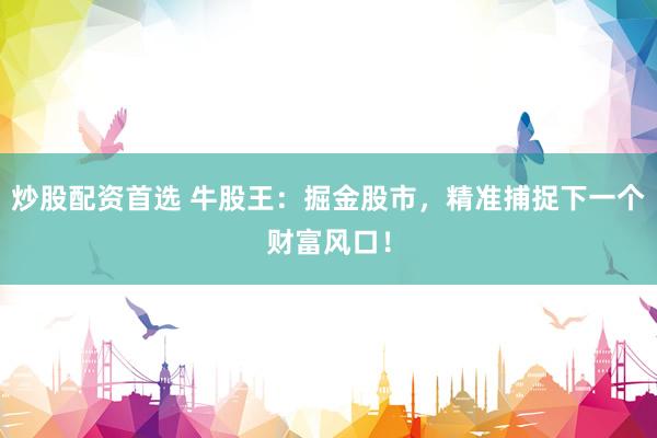 炒股配资首选 牛股王：掘金股市，精准捕捉下一个财富风口！