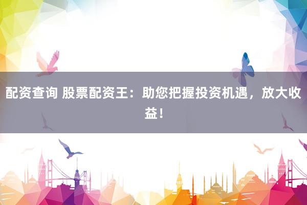 配资查询 股票配资王：助您把握投资机遇，放大收益！