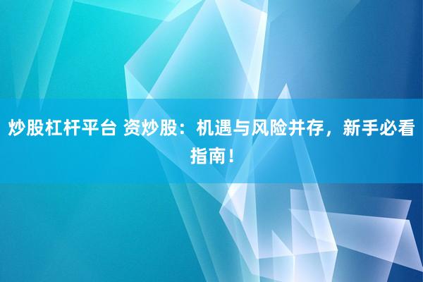 炒股杠杆平台 资炒股：机遇与风险并存，新手必看指南！