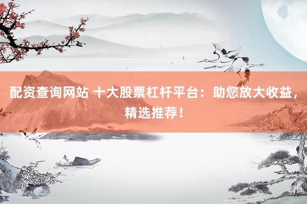 配资查询网站 十大股票杠杆平台：助您放大收益，精选推荐！