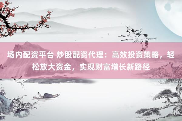 场内配资平台 炒股配资代理：高效投资策略，轻松放大资金，实现财富增长新路径