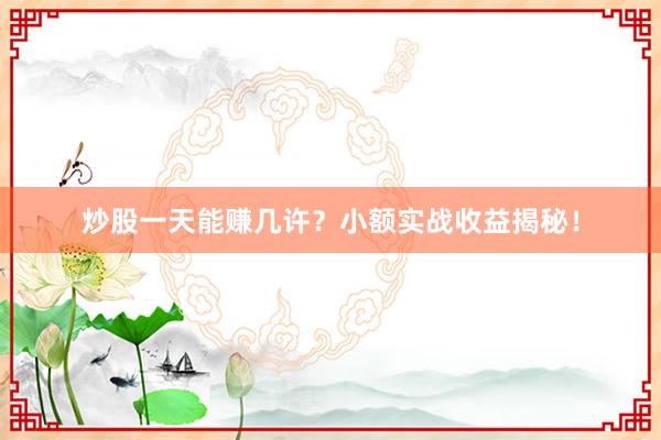 炒股一天能赚几许?小额实战收益揭秘!