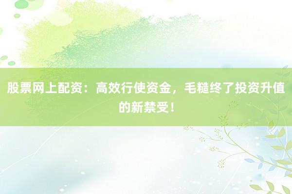股票网上配资：高效行使资金，毛糙终了投资升值的新禁受！