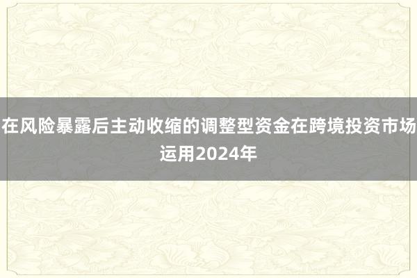 在风险暴露后主动收缩的调整型资金在跨境投资市场运用2024年