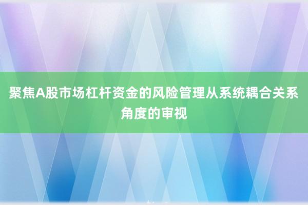 聚焦A股市场杠杆资金的风险管理从系统耦合关系角度的审视