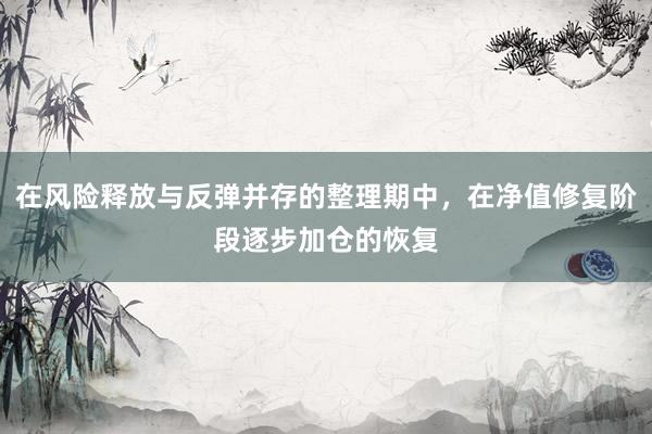 在风险释放与反弹并存的整理期中，在净值修复阶段逐步加仓的恢复