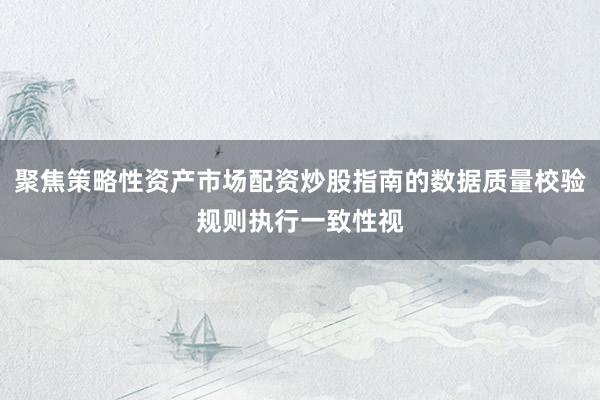 聚焦策略性资产市场配资炒股指南的数据质量校验规则执行一致性视