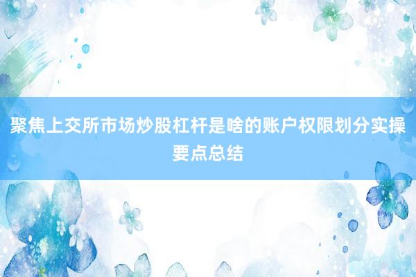 聚焦上交所市场炒股杠杆是啥的账户权限划分实操要点总结