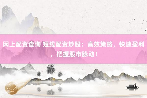 网上配资查询 短线配资炒股：高效策略，快速盈利，把握股市脉动！