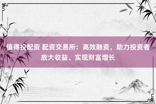 值得投配资 配资交易所：高效融资，助力投资者放大收益、实现财富增长